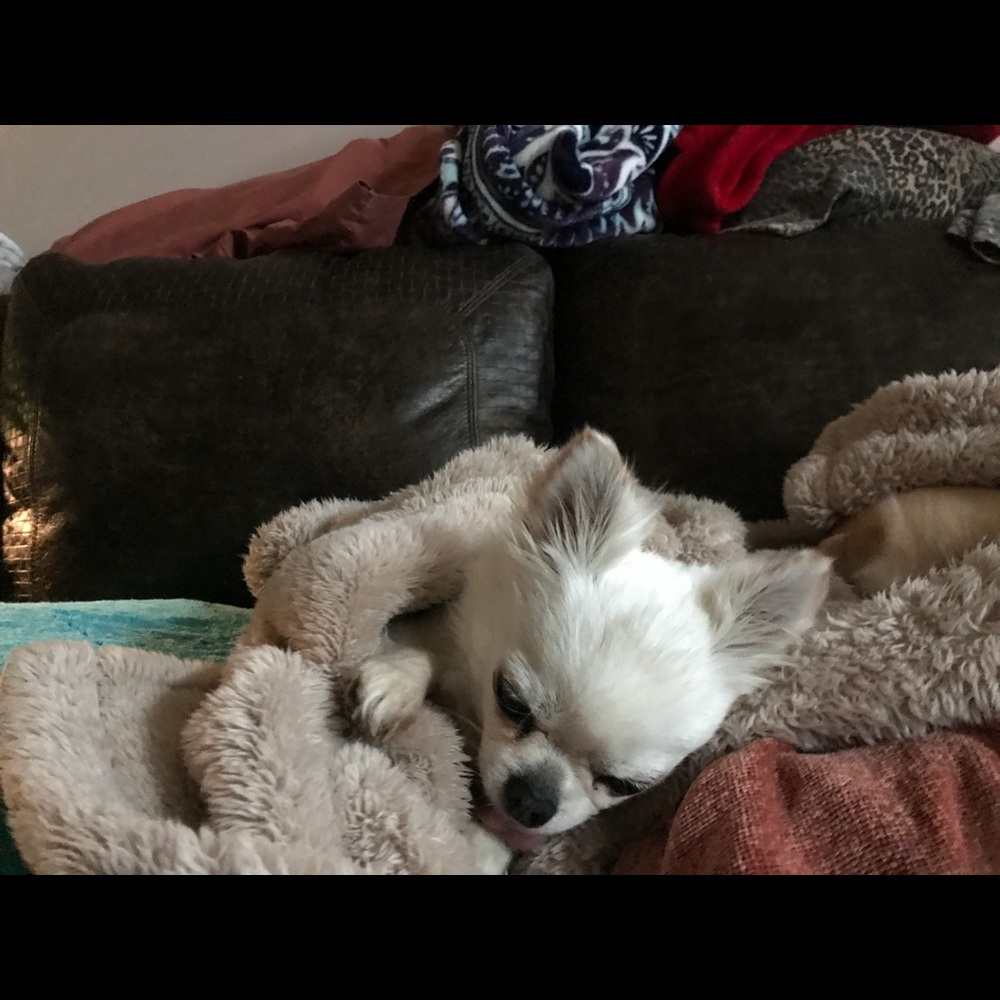 LOVE❣️❣️❣️❤️❤️❤️ - Picture 2 of 4